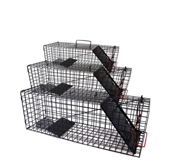 Catchmaster Live Cage Trap - LARGE